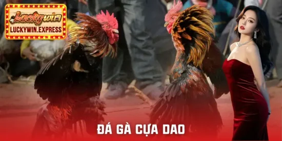 da-ga-cua-dao
